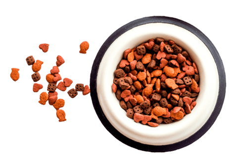 https://nutripetshop.com.br/wp-content/uploads/2019/08/floating_food.png