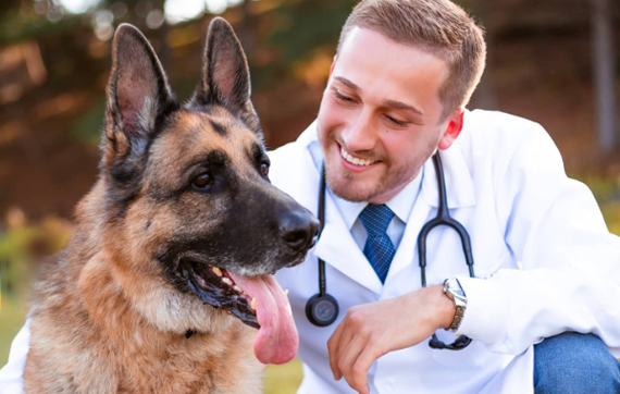 https://nutripetshop.com.br/wp-content/uploads/2023/10/dr-luiz.jpg